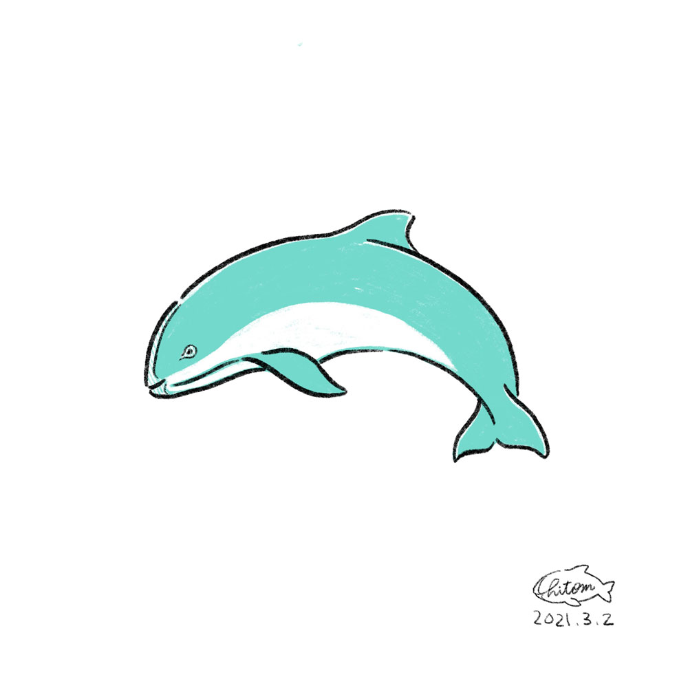 365日で学クジラ トリビア 今日は何の鯨 3月編 I Love Whales