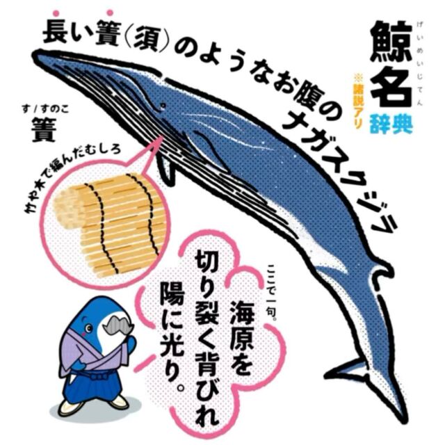 世界自然遺産知床羅臼ステッカー | I LOVE WHALES