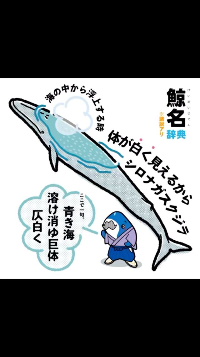 「クジラと仲間たち」 売り切れ店続出の人気シリーズから くじらと仲間たちを集める『くじら