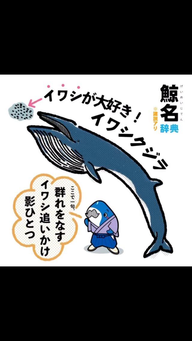 BLUE WONDERS』 | I LOVE WHALES